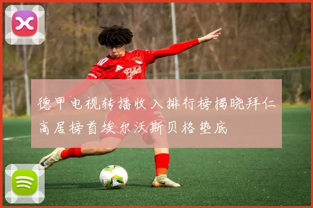 德甲电视转播收入排行榜揭晓拜仁高居榜首埃尔沃斯贝格垫底